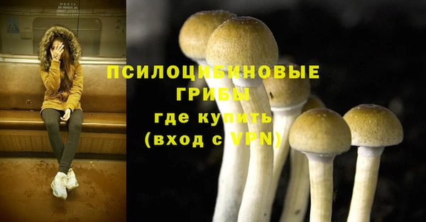 стаф Армянск