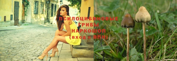 гашик Аркадак